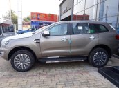 Bán Ford Everest sản xuất năm 2019, màu vàng, nhập khẩu