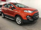 Cần bán Ford EcoSport đời 2017, màu đỏ, xe như mới, giá tốt