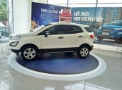 Bán xe Ford EcoSport Ambient 1.5L MT sản xuất năm 2019, giao xe nhanh toàn quốc