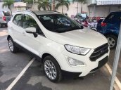 Bán xe Ford EcoSport Ambient 1.5L MT sản xuất năm 2019, giao xe nhanh toàn quốc