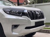 Bán Toyota Land Cruiser Prado VX sản xuất năm 2019, nhập khẩu nguyên chiếc