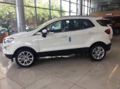 Bán xe Ford EcoSport Ambient 1.5L MT sản xuất năm 2019, giao xe nhanh toàn quốc