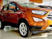 Bán nhanh với giá thấp chiếc Ford EcoSport đời 2019, giá cạnh tranh thị trường