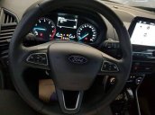 Bán xe Ford EcoSport Ambient 1.5L MT sản xuất năm 2019, giao xe nhanh toàn quốc