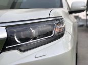 Bán Toyota Land Cruiser Prado VX sản xuất năm 2019, nhập khẩu nguyên chiếc