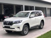 Bán Toyota Land Cruiser Prado VX sản xuất năm 2019, nhập khẩu nguyên chiếc