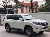 Bán Toyota Land Cruiser Prado VX sản xuất năm 2019, nhập khẩu nguyên chiếc