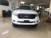 Tậu xe đi tết _ Bán Ford Ranger XLS MT 2019 nhập khẩu, giá tốt, trả góp cao, LH 0974286009