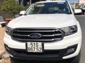 Western Ford bán Everest Demo 2.0 MT đky 1/2019