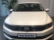 Cần bán Volkswagen Passat Highline 2018, màu trắng, xe nhập 100% từ nước Đức