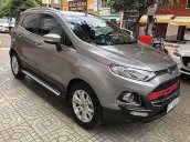 Cần bán lại xe Ford EcoSport Titanium sản xuất năm 2016, màu bạc, giá chỉ 465 triệu