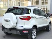 Cần bán Ford EcoSport năm sản xuất 2019, màu trắng xe còn mới nguyên