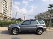 Bán Ford Escape XLT 2.3L 4x4 AT năm 2010, màu xám, odo 50000 km 