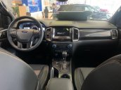 Hot Hot Hot -  Ford Everest 2019, giảm giá sốc cuối năm - Tặng phụ kiện chính hãng