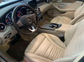 Cần bán xe Mercedes C250 năm 2015, màu đen