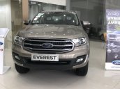 Tuyên Quang mua Ford Everest Ambiente 4x2AT đời 2019, màu ghi vàng, giảm 80 triệu tiền mặt, tặng phụ kiện giá trị