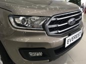 Tuyên Quang mua Ford Everest Ambiente 4x2AT đời 2019, màu ghi vàng, giảm 80 triệu tiền mặt, tặng phụ kiện giá trị