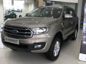 Tuyên Quang mua Ford Everest Ambiente 4x2AT đời 2019, màu ghi vàng, giảm 80 triệu tiền mặt, tặng phụ kiện giá trị