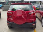 Bán - thanh lý 5 xe Ford Ecosport giá tốt nhất miền Nam lh 0909850255