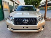 ManyCar bán Toyota Prado TXL model 2013, màu vàng