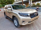 ManyCar bán Toyota Prado TXL model 2013, màu vàng