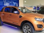 Bán nhanh đón tết - Giảm giá cực sốc chiếc xe Ford Ranger XL 2.2 MT, đời 2019, xe nhập khẩu