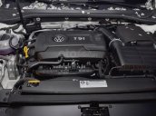 Bán xe Volkswagen Passat, nhập khẩu nguyên chiếc