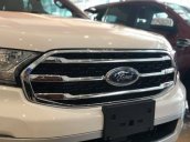 Cần bán xe Ford Everest Titanium 2.0L đời 2020, màu trắng, giao xe nhanh