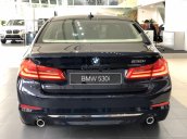 Ưu đãi lớn đón tết chiếc xe BMW 530i 2.0L 8AT, đời 2019, màu đen - Có sẵn xe - Giao nhanh tận nhà