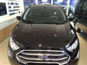 Bán Ford Ecosport 1.5 Titanium đời 2019, có sẵn xe, giao nhanh toàn quốc
