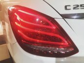 Cần bán Mercedes-Benz C250 năm 2018, màu trắng chính chủ giá 1 tỷ 520 triệu đồng