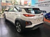 Bán xe Hyundai Kona sản xuất năm 2019, đủ màu - giao ngay