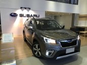 Subaru Forester mới 100% nhập khẩu nguyên chiếc