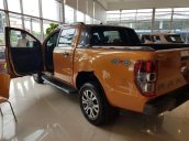 Bán xe Ford Ranger Wildtrak đời 2019, nhập khẩu  