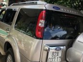 Bán xe Ford Everest đời 2009, màu vàng, giá tốt