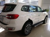 Cần bán Ford Everest sản xuất năm 2019, màu trắng, nhập khẩu