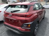 Bán Hyundai Kona 2019 giá siêu tốt - tặng full phụ kiện - giảm kịch sàn