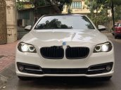 Cần bán BMW 5 Series 520i đời 2015, màu trắng, nhập khẩu