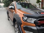 Cần bán xe Ford Ranger năm sản xuất 2017, xe nhập giá cạnh tranh