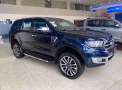 Ford Everest Titanium New Performance năm 2019