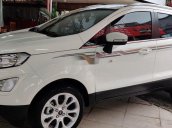 Bán xe Ford EcoSport 2019, số tự động