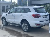 Ford Everest Titanium 2020, nhập khẩu nguyên chiếc, khuyến mãi lớn tặng tiền mặt và PK lên đến 70 triệu đồng, đủ màu xe