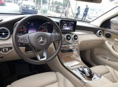 Cần bán lại xe Mercedes 4Matic năm 2017, màu xanh lam