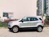 Cần bán xe Ford EcoSport Titanium sản xuất 2017, màu bạc xe gia đình, giá 495tr