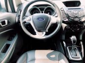 Cần bán xe Ford EcoSport Titanium sản xuất 2017, màu bạc xe gia đình, giá 495tr