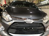 Cần bán Toyota Wigo đời 2019, nhập khẩu nguyên chiếc, giá tốt