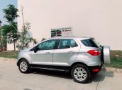 Cần bán xe Ford EcoSport Titanium sản xuất 2017, màu bạc xe gia đình, giá 495tr