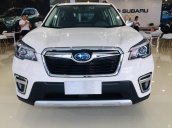 Subaru Forester nhập khẩu nguyên chiếc