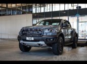 Cần bán xe Ford Ranger Raptor năm 2019, màu đen, nhập khẩu