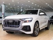 Bán Audi Q8 Quattro 2019 bản SLine đặc biệt